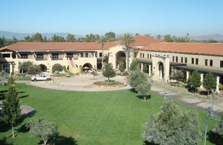 CBU University NEW