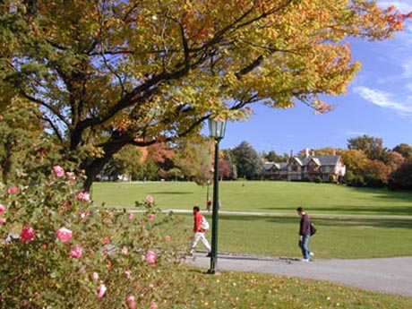 Long Island University NEW