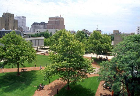 Rutgers University NEW