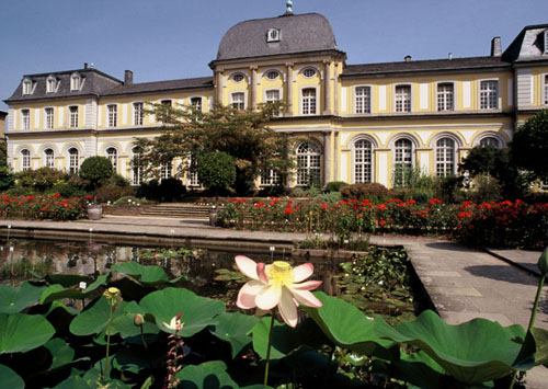 Bonn NEW