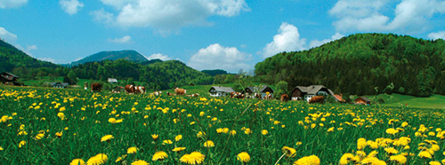Hintersee NEW