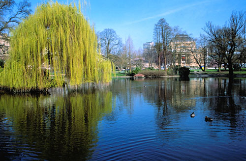 Wiesbaden NEW