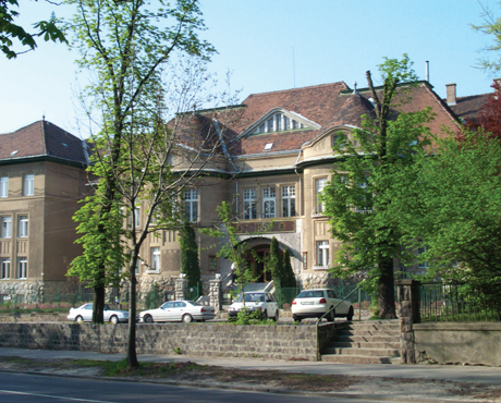 International Business School