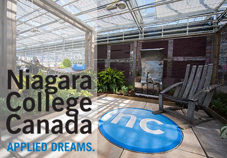 Профессиональное образование в Niagara College: выбор за тобой!