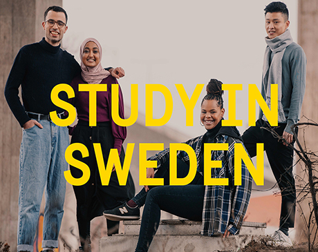 BURSE DE STUDIU in Suedia | Nivel MASTER