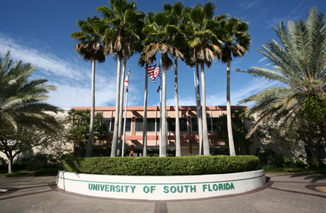 Последние новости от University of South Florida