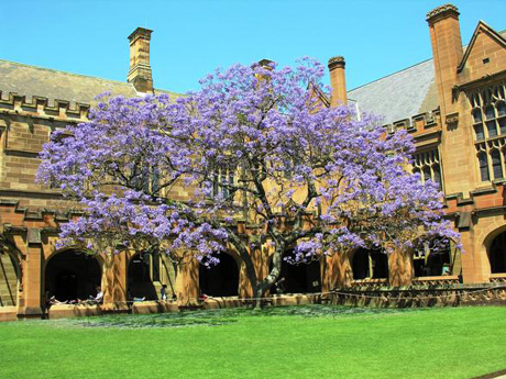 University