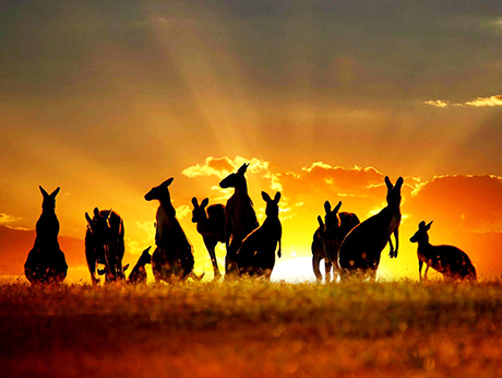 Australia
