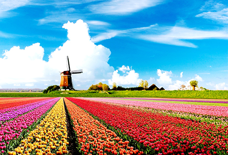 Holland