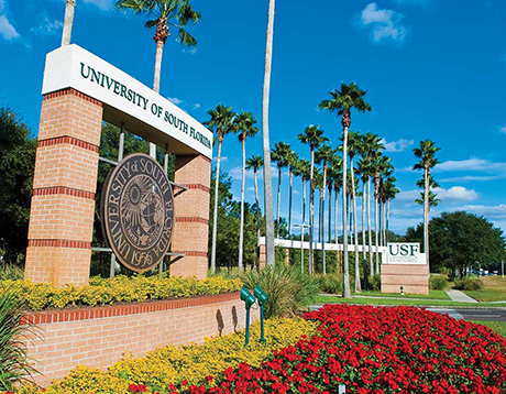 University