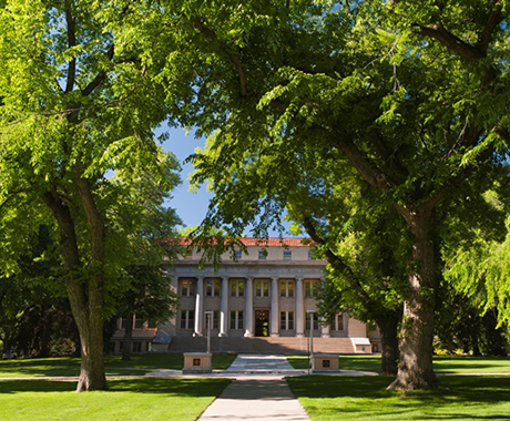 University