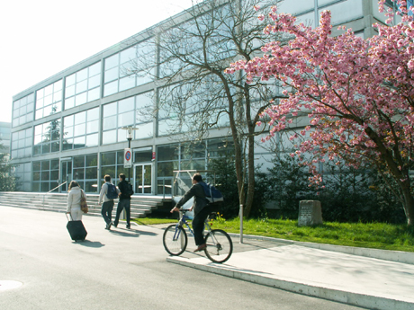 University