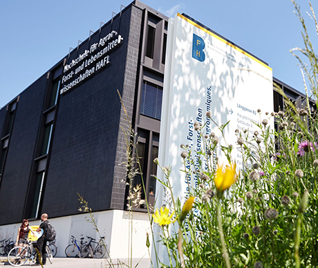 University