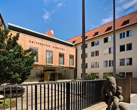 University Preparation