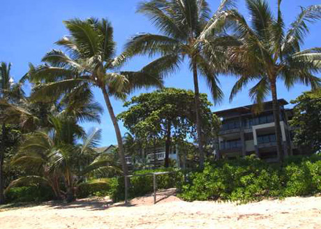  Kaplan International Center