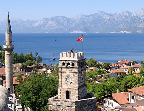 Vacante / Каникулы