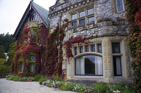 Новости образования/Știri Principale